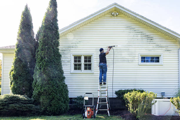 Pre-Holiday Cleaning in Andalusia, AL